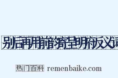 别后再用前韵寄呈明府反义词是什么意思的图片